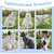 ZooVenture Katze Geschirr Fliege Blau Verstellbar ZooVenture Katze Geschirr Fliege Blau Verstellbar