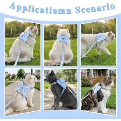 ZooVenture Katze Geschirr Fliege Blau Verstellbar ZooVenture Katze Geschirr Fliege Blau Verstellbar