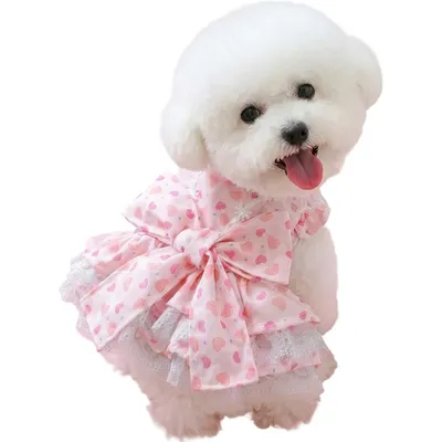 ZooVenture Robe Chien Coeur Rose Nœud 3D ZooVenture Robe Chien Coeur Rose Nœud 3D
