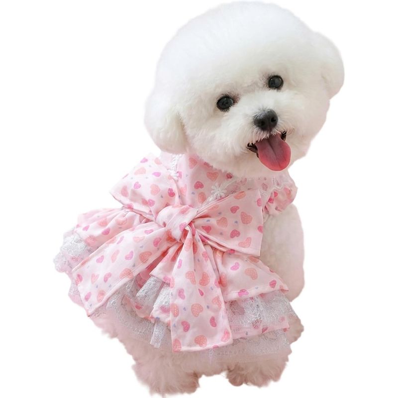 ZooVenture Robe Chien Coeur Rose Nœud 3D