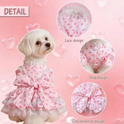 ZooVenture Robe Chien Coeur Rose Nœud 3D ZooVenture Robe Chien Coeur Rose Nœud 3D