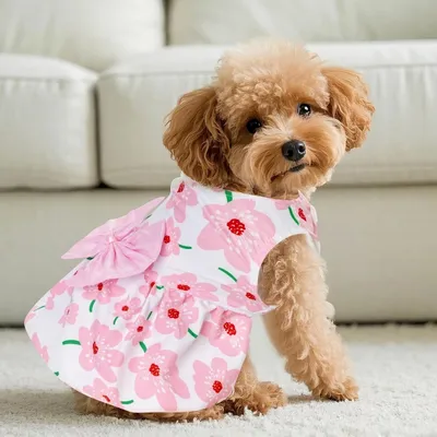 ZooVenture Sommerkleid Hund Katze - Blümchen, Atmungsaktiv ZooVenture Sommerkleid Hund Katze - Blümchen, Atmungsaktiv