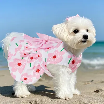 ZooVenture Sommerkleid Hund Katze - Blümchen, Atmungsaktiv ZooVenture Sommerkleid Hund Katze - Blümchen, Atmungsaktiv