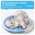 HausPets Matelas d'eau pour chats rayon 65 cm