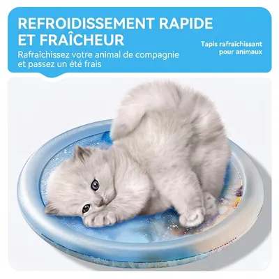 HausPets Matelas d'eau pour chats rayon 65 cm
