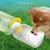 ZooVenture Gourde Voyage Chien - 1000ml, Nourriture, Étanche ZooVenture Gourde Voyage Chien - 1000ml, Nourriture, Étanche