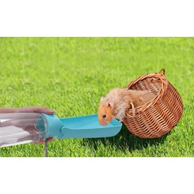 ZooVenture Distributeur Eau Chien Pliable - Antifuite, Portable ZooVenture Distributeur Eau Chien Pliable - Antifuite, Portable