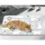 PetTribes Tapis Rafraîchissant Arctic PetTribes Tapis Rafraîchissant Arctic