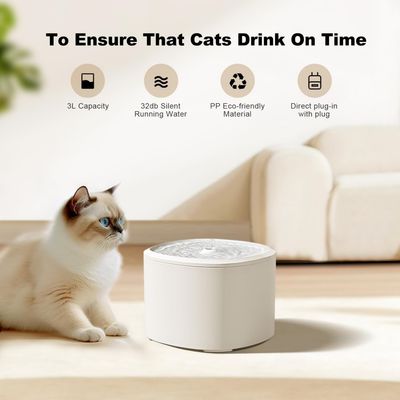 Distributeur automatique 4L et fontaine 3L pour chat ultra-silencieux