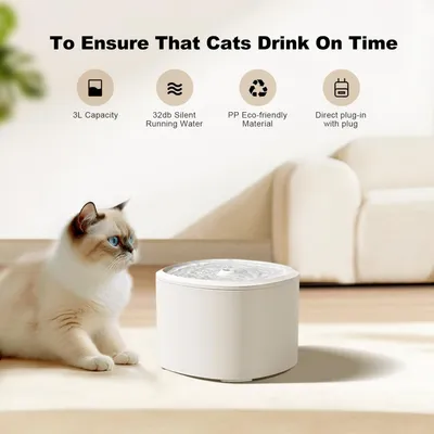 Distributeur automatique 4L et fontaine 3L pour chat ultra-silencieux Distributeur automatique 4L et fontaine 3L pour chat ultra-silencieux