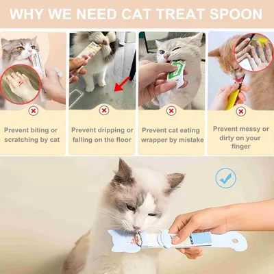 FurryFusion Ensemble de cuillères pour snacks pour chats FurryFusion Ensemble de cuillères pour snacks pour chats