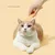 FurryFusion Presseur de catnip pour chats FurryFusion Presseur de catnip pour chats