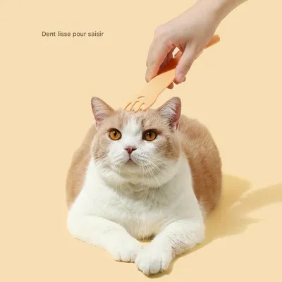 FurryFusion Presseur de catnip pour chats FurryFusion Presseur de catnip pour chats