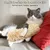 HausPets Oreiller en peluche à cataire, confort optimal 3 pcs