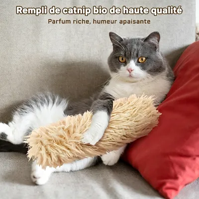 HausPets Oreiller en peluche à cataire, confort optimal 3 pcs