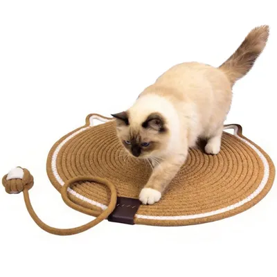 HausPets Cat Scratching Pad with Toy and Sleeping Area