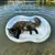 HausPets Lit flottant aquatique pour chat et chien
