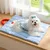 HausPets Tapis de sieste double face pour chats et chiens