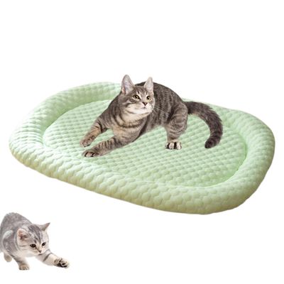 HausPets Tapis rafraîchissant pour chats et chiens en été(Vert)