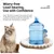 PetTribes Hamac Chat Portable, Housse Lavable Amovible, Ventouse Solide
