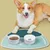 HausPets Nappe d'alimentation en silicone pour chiens et chats