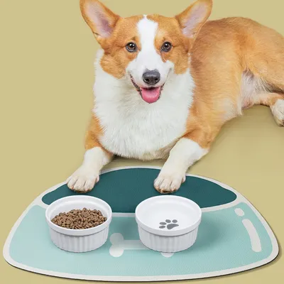HausPets Nappe d'alimentation en silicone pour chiens et chats