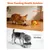 PetTribes Distributeur Friandises Interactif, Mangeoire Lente Chiens/Chats PetTribes Distributeur Friandises Interactif, Mangeoire Lente Chiens/Chats