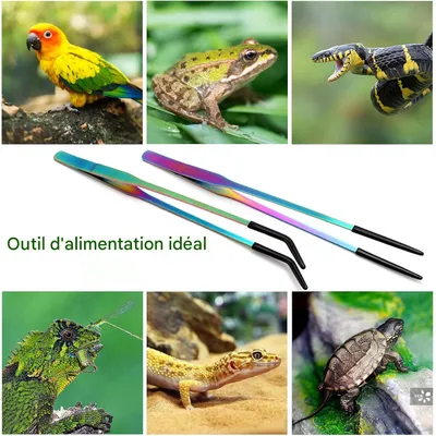 ZooVenture Pince Reptiles - Caoutchouc, Longue, Aquariums ZooVenture Pince Reptiles - Caoutchouc, Longue, Aquariums