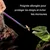 ZooVenture Pince Reptiles - Caoutchouc, Longue, Aquariums ZooVenture Pince Reptiles - Caoutchouc, Longue, Aquariums