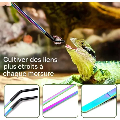 ZooVenture Pince Reptiles - Caoutchouc, Longue, Aquariums ZooVenture Pince Reptiles - Caoutchouc, Longue, Aquariums