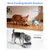 PetTribes Distributeur Friandises Interactif, Mangeoire Lente Chiens/Chats PetTribes Distributeur Friandises Interactif, Mangeoire Lente Chiens/Chats