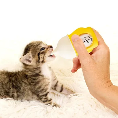 FurryFusion Biberon en silicone pour chiots et chatons FurryFusion Biberon en silicone pour chiots et chatons