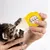 FurryFusion Biberon en silicone pour chiots et chatons FurryFusion Biberon en silicone pour chiots et chatons