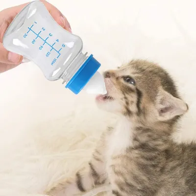 PetTribes Biberon Animal MilkCare PetTribes Biberon Animal MilkCare