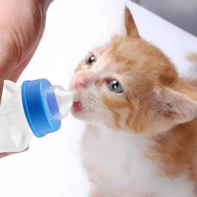 PetTribes Biberon Animal MilkCare PetTribes Biberon Animal MilkCare