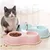 ZooVenture Gamelle Chat Inox - Ergonomique, Antidérapant, Base Surélevée ZooVenture Gamelle Chat Inox - Ergonomique, Antidérapant, Base Surélevée