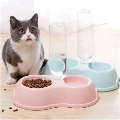 ZooVenture Gamelle Chat Inox - Ergonomique, Antidérapant, Base Surélevée ZooVenture Gamelle Chat Inox - Ergonomique, Antidérapant, Base Surélevée