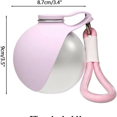 ZooVenture Bouteille Eau Chien - 285 ml, Inox, Silicone