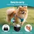 ZooVenture Bouteille Eau Chien - 285 ml, Inox, Silicone ZooVenture Bouteille Eau Chien - 285 ml, Inox, Silicone