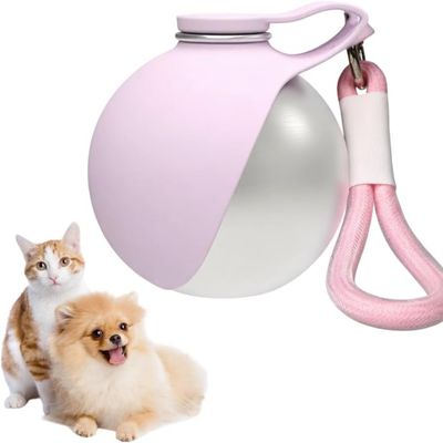 ZooVenture Bouteille Eau Chien - 285 ml, Inox, Silicone