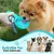 ZooVenture Bouteille Eau Chien - 285 ml, Inox, Silicone ZooVenture Bouteille Eau Chien - 285 ml, Inox, Silicone