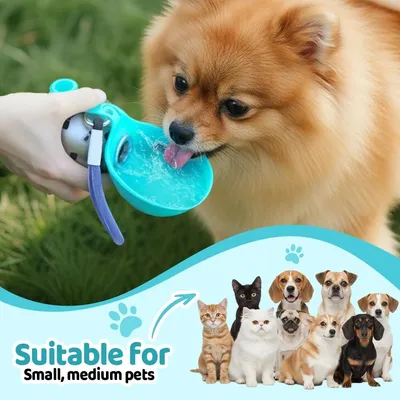 ZooVenture Bouteille Eau Chien - 285 ml, Inox, Silicone ZooVenture Bouteille Eau Chien - 285 ml, Inox, Silicone