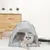 Zoomtopia Tente grotte pour chat et petit chien tapis frais Zoomtopia Tente grotte pour chat et petit chien tapis frais