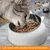 ZooVenture Gamelle Chat Inox 15° Ergonomique ZooVenture Gamelle Chat Inox 15° Ergonomique