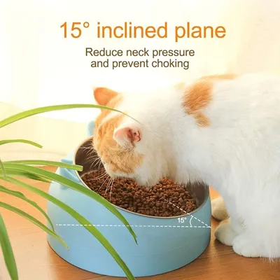ZooVenture Gamelle Chat Inox 15° Ergonomique ZooVenture Gamelle Chat Inox 15° Ergonomique