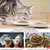 FurryFusion Gamelle anti-renversement pour chat FurryFusion Gamelle anti-renversement pour chat