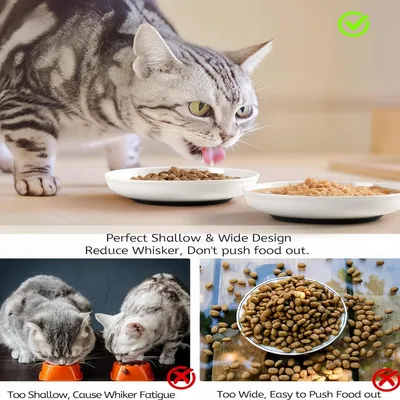 FurryFusion Gamelle anti-renversement pour chat FurryFusion Gamelle anti-renversement pour chat