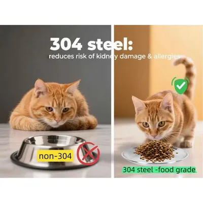 PetTribes Lot de 4 Bols Chat Inox 304,Lavable Lave-Vaisselle PetTribes Lot de 4 Bols Chat Inox 304,Lavable Lave-Vaisselle