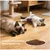 PetTribes Lot de 4 Bols Chat Inox 304,Lavable Lave-Vaisselle PetTribes Lot de 4 Bols Chat Inox 304,Lavable Lave-Vaisselle