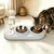 PetTribes Gamelle 3 en 1 Chat - Design Oreilles Chat, Bol Inox, 500ml